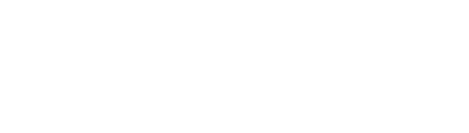 Dice Development Group